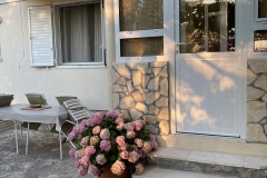 1_46f34b4e-1e1d-4ee0-bc88-8ef3478b0300